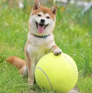 Giant 9.5" Yellow Tennis Ball for Dogs - Perfect Birthday Gift & Toy for Small, Medium, and Large Pups!,summervibes