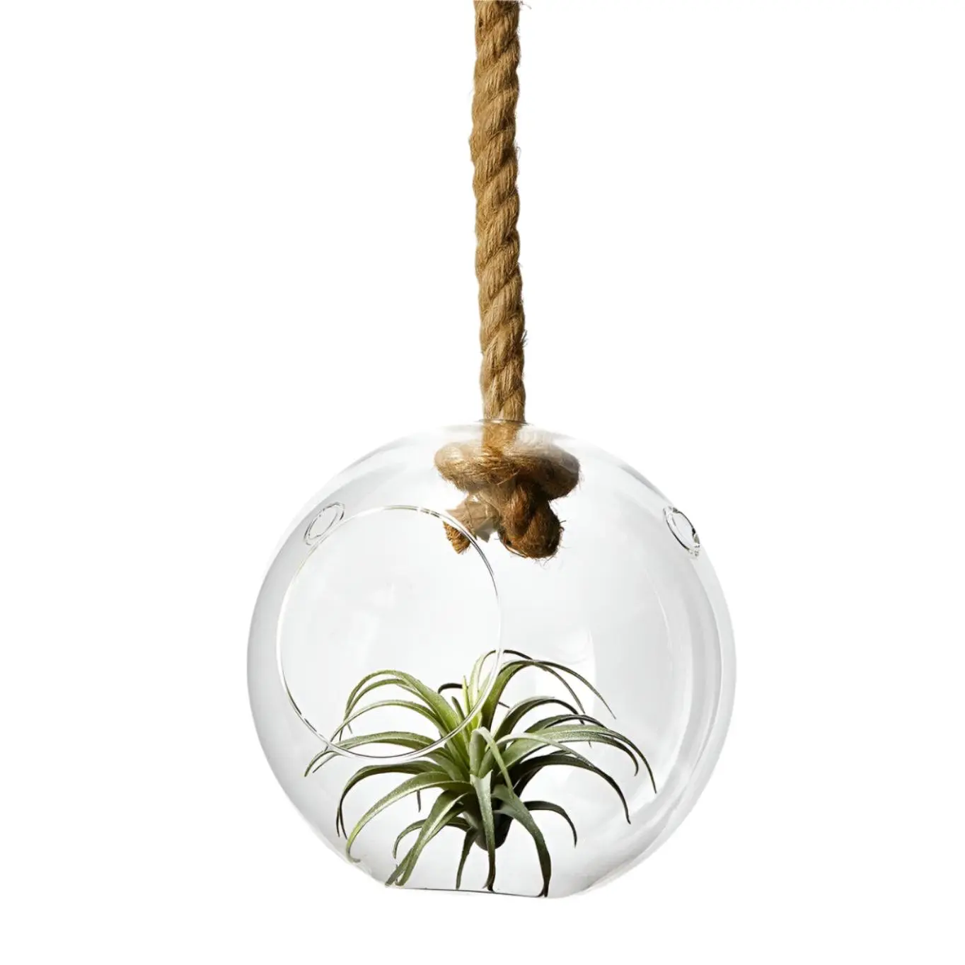 Hanging Glass Vase with Jute Rope, 8.5” D