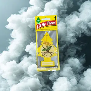 Little Tree 1 Pc Variety Scents