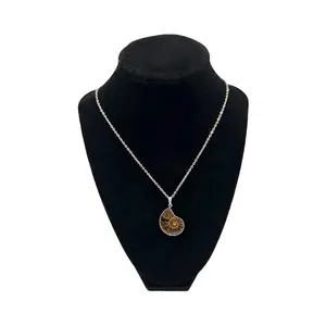 Ammonite Necklace - Genuine Fossil Pendant