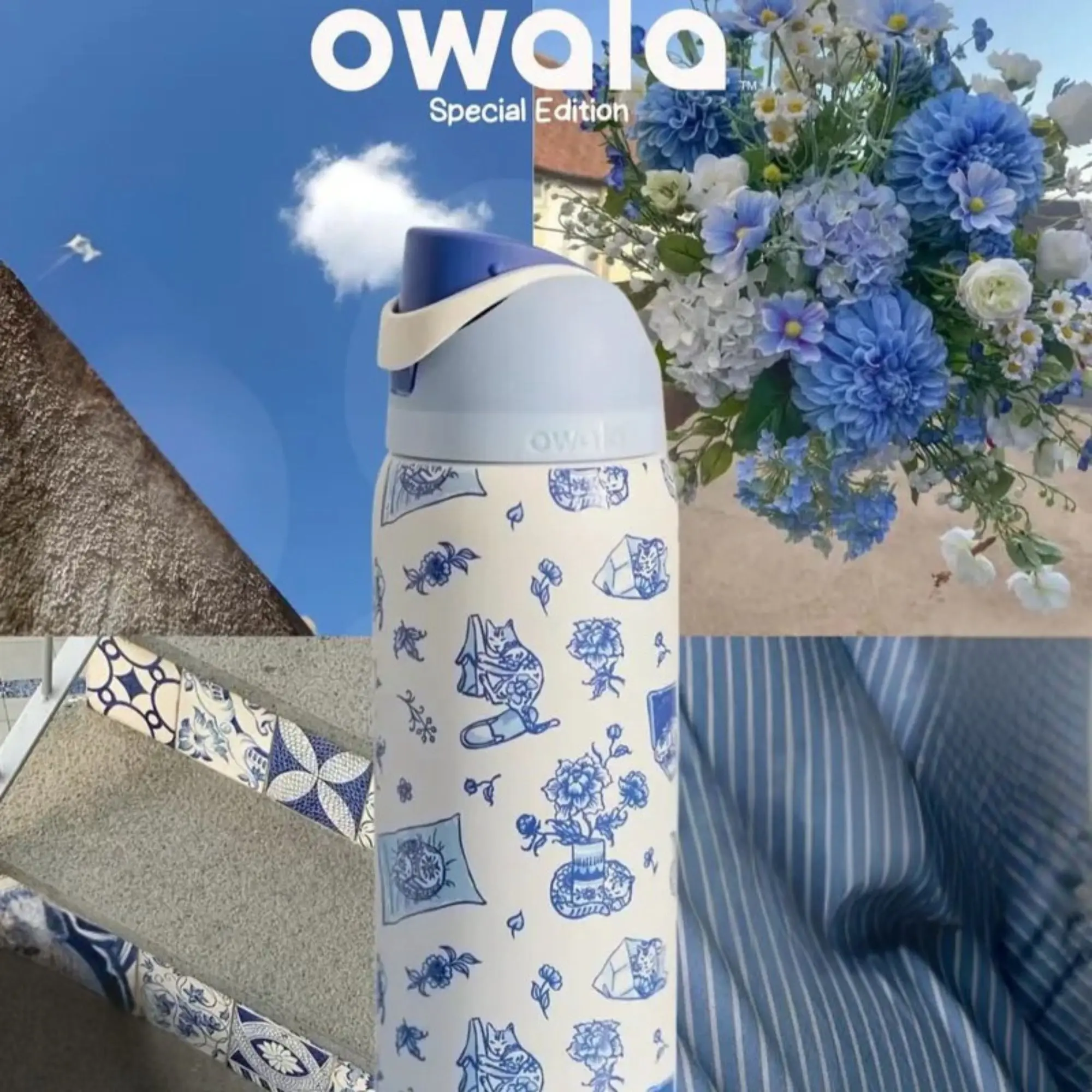 Owala UO Exclusive Delft Cat FreeSip 0.9L / 32oz Water Bottle Insulated Water Bottle for Kitchen, Drinkware Use