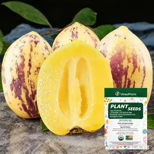 Pepino Melon Seeds for Planting,Sweet Pepino Seeds Non-GMO,Exotic Fruit Seed Heirloom for Outdoor Home Garden