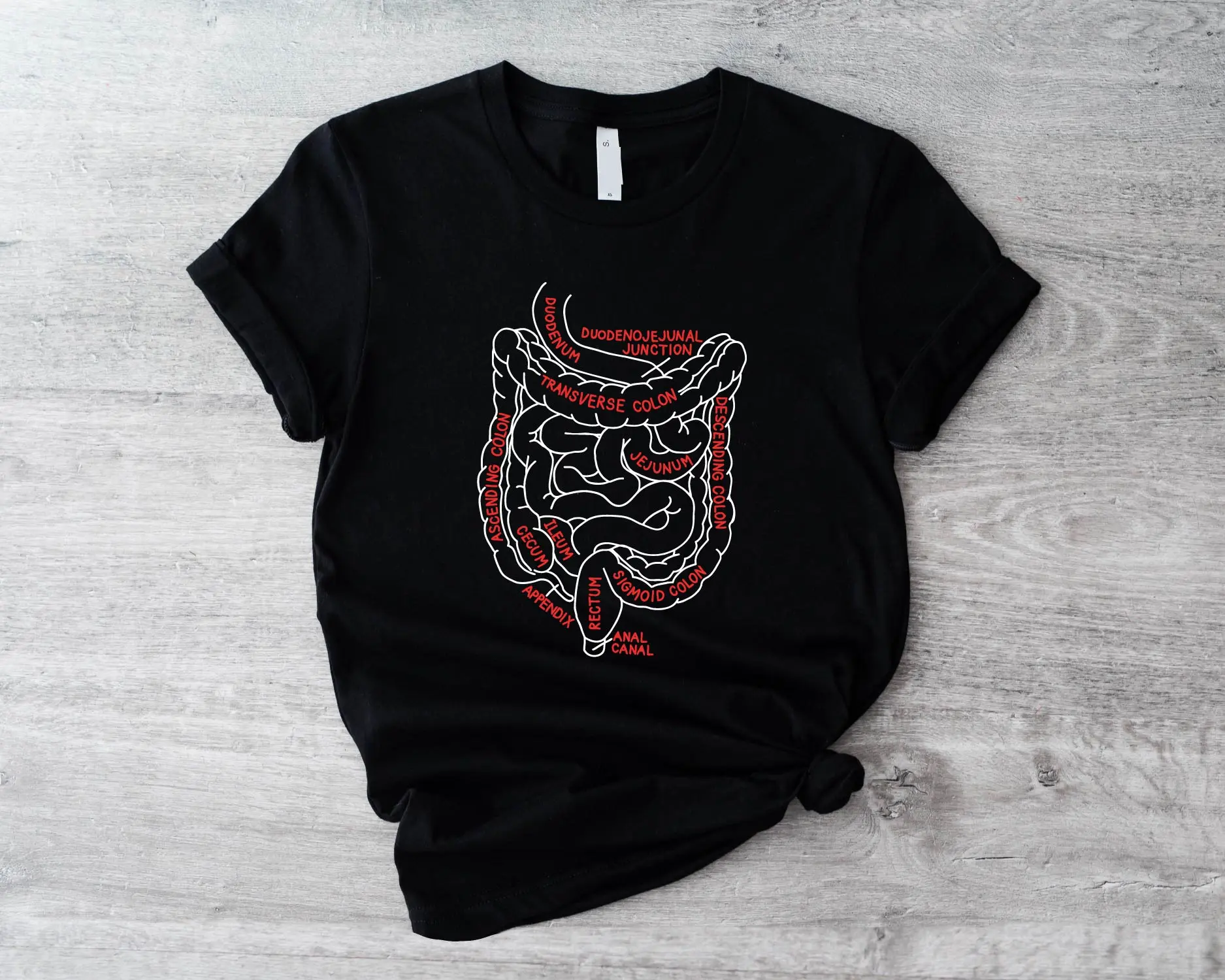 Intestine Anatomy T-shirt, Funny Medical Student Shirt, Colon Anatomy Tee, Gastroenterologist T-shirt, Nursing Student Shirt, Intestine Crohn's Disease Tee