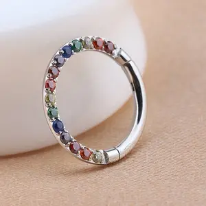 Implant Grade Segment Ring - G23 Titanium Nose Ring