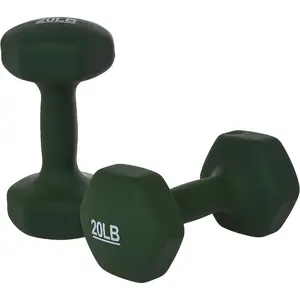 Neoprene Coated Hexagon Workout Dumbbell Hand Weight standing desk adjustable kettlebell