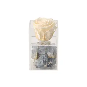 Forever Rose & Healing Crystals Gift Set - Perfect for Any Occasion