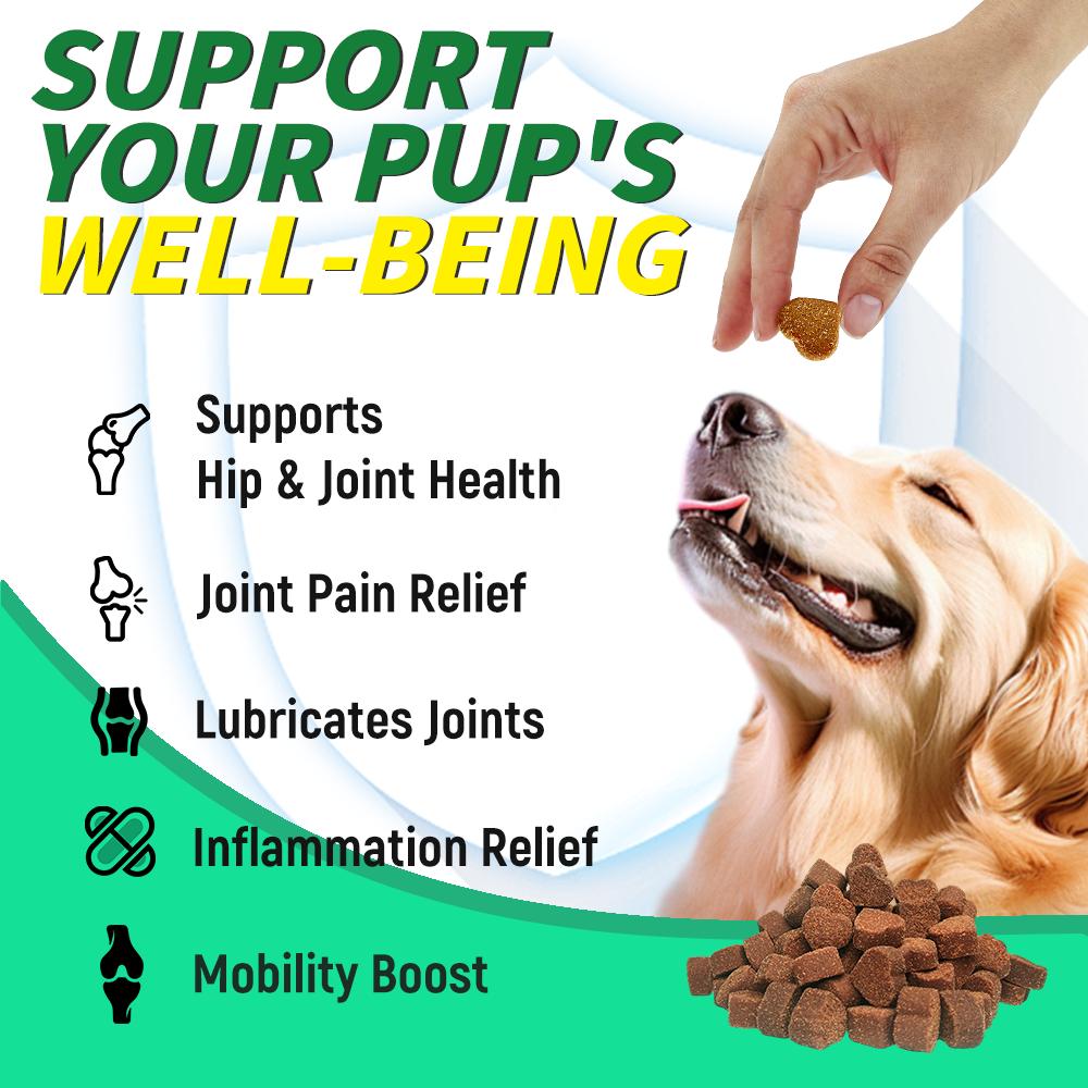 SWIYIE-pet health products Glucosamine Chondroitin Gummies with MSM & Elderberry Extra Strength - Joint Support