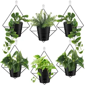 6 Sets Wall Planters for Indoor   Wall Planter with Metal Holder Geometric Self Watering Wall Pots Mounted Succulent Pots, 5" Black  Container