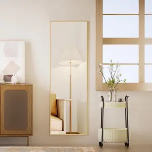 New 14x48 Full Body Mirror - Adjustable Vertical Rectangle Door Mirror with Varnished Metal Frame Easy Hanging or Leaning Against Wall for Bedroom and Dressing Room - VooBang Eclectic Style Glass Surface Door Mount Mirror Decor