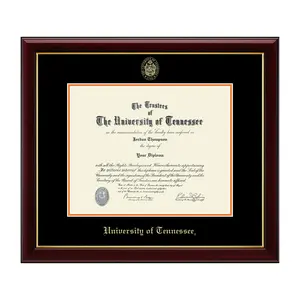 The University of Tennessee Knoxville Gold Embossed Diploma Frame - Museum-Quality Black & Athletic Orange Matting, Solid Hardwood, High-Gloss Cherry Lacquer Finish, Easy-to-Use Level-Lock Hanging System