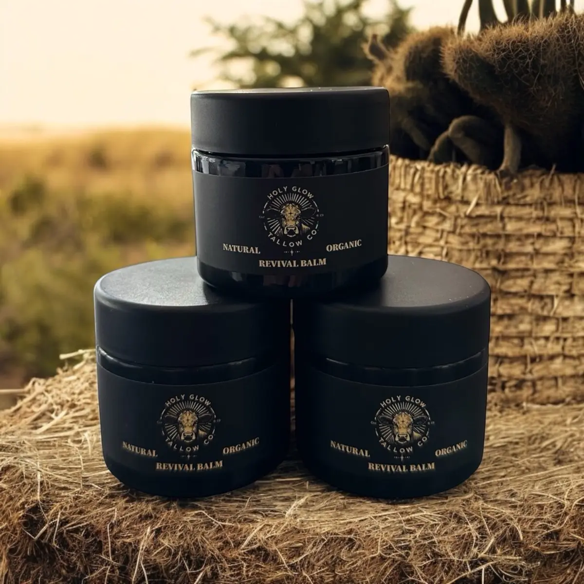 Organic Tallow Mousturizer Skincare