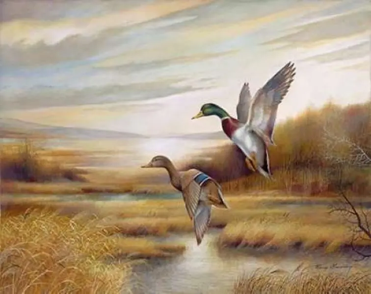 Mallards Poster Print by Ruane Manning - 11 x 14 - Small