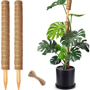 2 Pack 21 Inch Moss Poles, Stackable Moss Pole for  Monstera, 37 Inch Tall Moss Poles for Climbing  Indoor, Coir Totem  Support Stakes Stand for Potted , Pothos