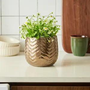 Flare Brass Ceramic Planter
