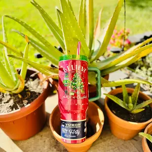 Buc-ee's NWT Believe in the Magic of Christmas Tumbler - 40 oz - Bottle, Drinkware