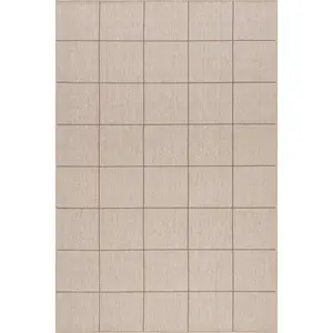 Calandra Checkered Machine Washable Area Rug