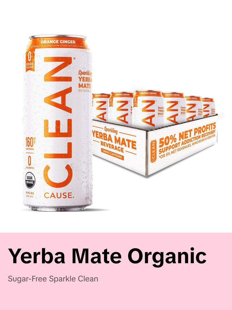Orange Ginger Zero Calorie Organic Sparkling Yerba Mate Tea Beverage - Sugar-Free