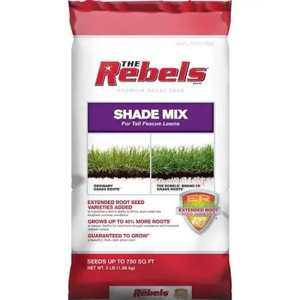 212 MAIN 3lb Shade Tall Fescue Grass Seed Mix - Home Improvement Garden Supply for Raised Beds, Lawn Care Product That Extends Root System and Improves Nutrient Uptake, Boosts Nutrient Uptake