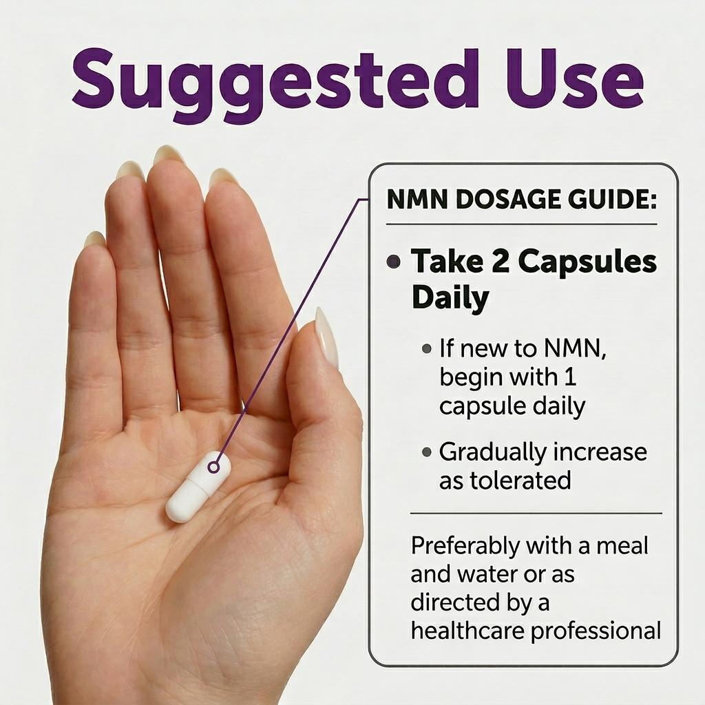 NMN Complex 1,500mg Per Serving, 15-1 Complex,NMN 500mg with Vitamin C, TMG, CoQ10, Resveratrol, Quercetin, & Glutathione | Supports Cellular Energy & NAD+ Levels - Vitamin Dietary Supplement Healthcare