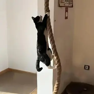 Heavy-Duty Universal Cat Climbing Rope Post - Wear-Resistant, Scratch-Resistant Vertical Scratcher, Interactive Pet Toy with Cool Kitten Stuff for Indoor Cats