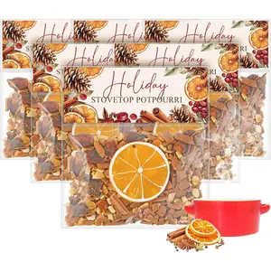 6 Pack Potpourri Simmer Pot Kit - Christmas & Holiday Scent Stocking Stuffer Gifts