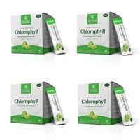 4 Pack: Lime Twist Chlorophyll