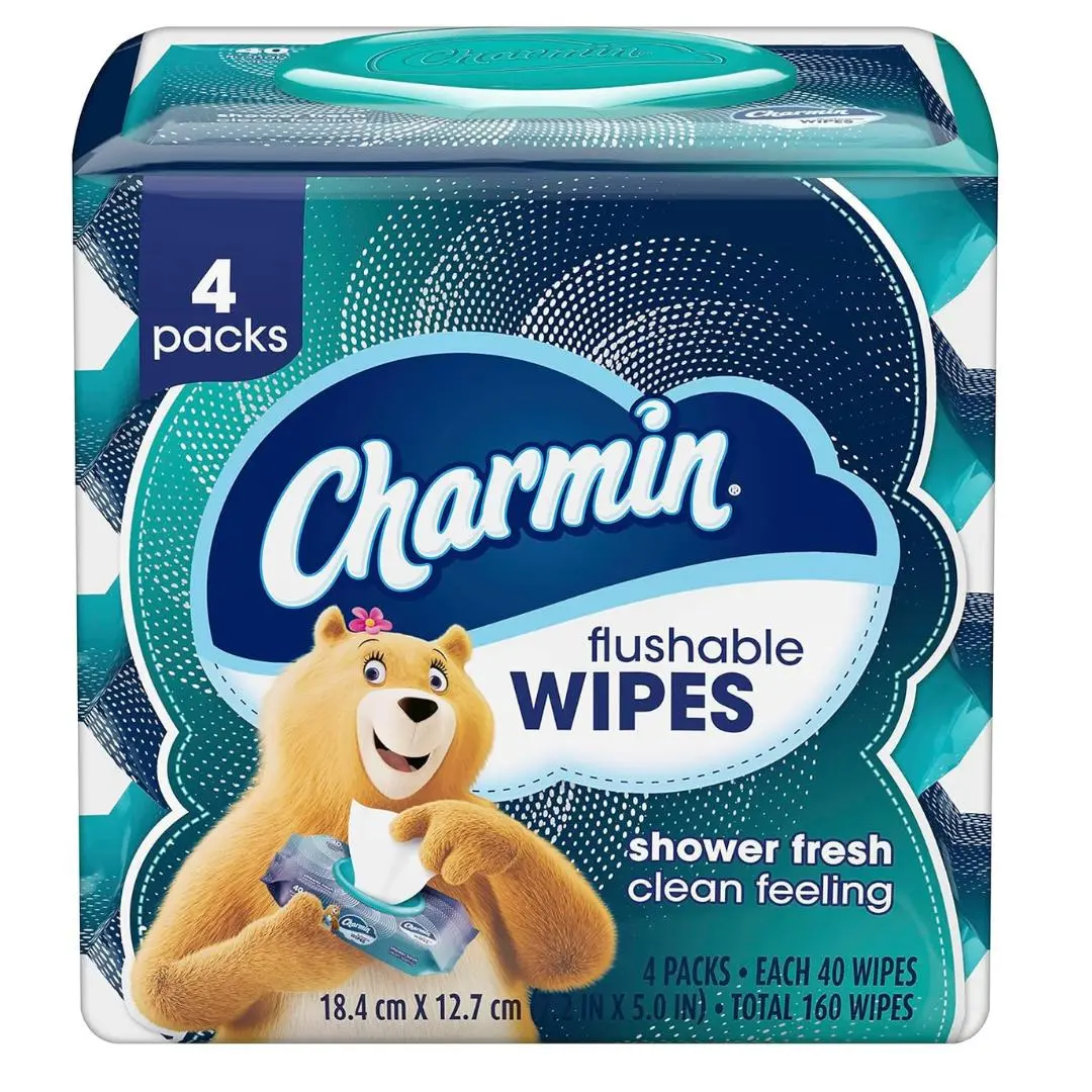 Charmin Flushable Wipes, 160 Total Wipes (4 Packs of 40)