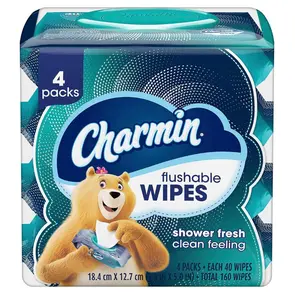 Charmin Flushable Wipes, 160 Total Wipes (4 Packs of 40)