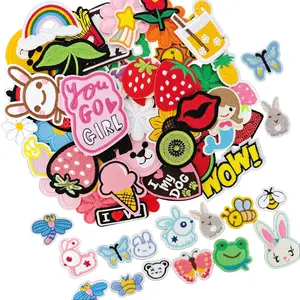 60Pcs Randomly Packed Iron on Embroidered Patches Delicate Embroidery Appliques for DIY Decoration on Bags Hats Clothes etc Versatile and Easy to Apply