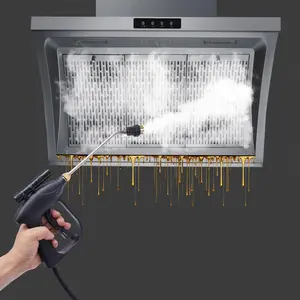 High-pressure Steam Cleaner Machine