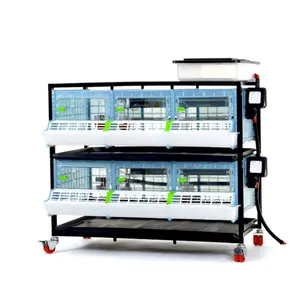 Chick Brooder - 2 Layer H: 9.5"