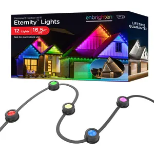 Enbrighten VIBE WiFi Eternity Eave Lights Extension Light Strand, 16.5ft. Black