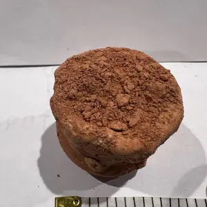 BARROLGA Clay cantarito crema amanecer made in Mexico