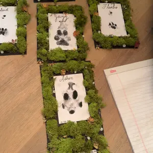 Paw Print Stamp, 1/4/8 Counts Footprint Stamp Pad with 1 Ink Pad & 2 Imprint Cards, Hand and Foot Print Stamp for Baby Shower