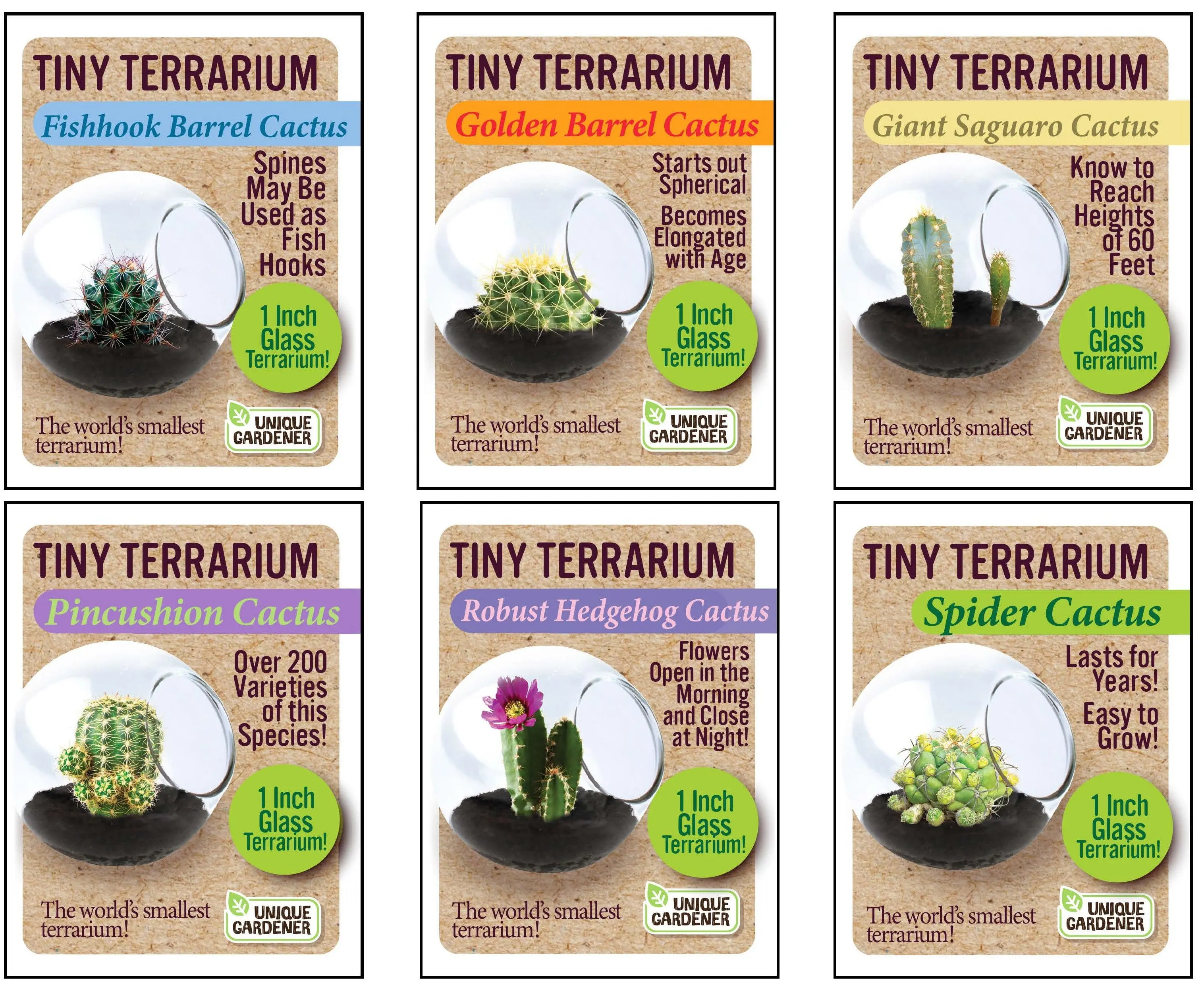 Cacti Tiny Terrariums Bundle - 1 each of 6 Varieties Cacti Tiny Terrariums Bundle - 1 each of 6 Varieties