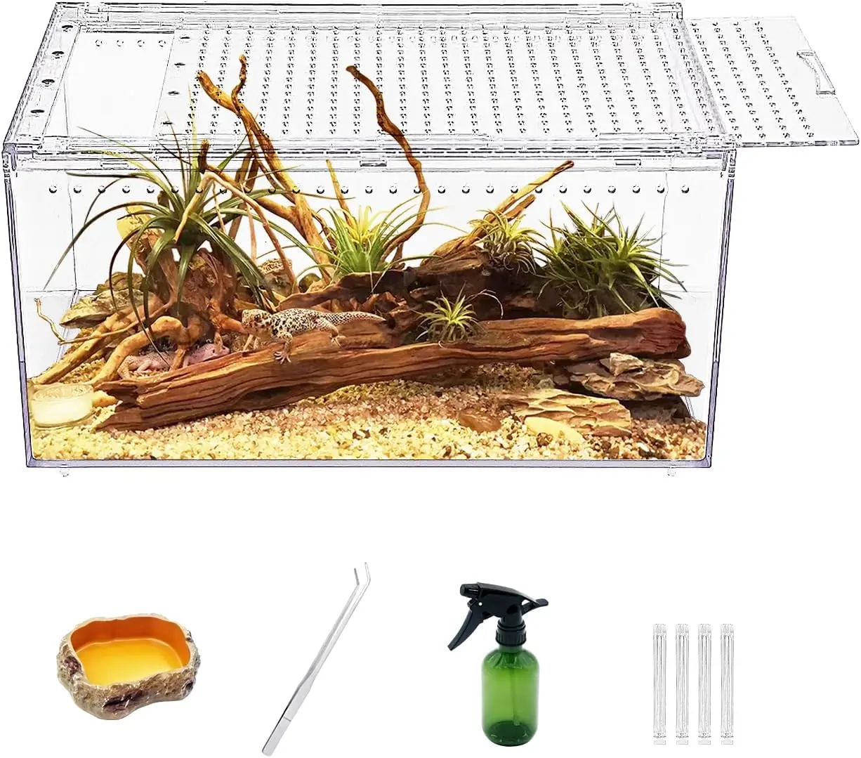 Reptile Growth Reptile PC Terrarium,Tarantula Enclosure,Spider Tank with Magnetic Button."x " x " Lizard Enclosure,Reptile Breeding Tank for Insect,Fish,Tarantula,Hermit Crab,Small Bearded Dragon