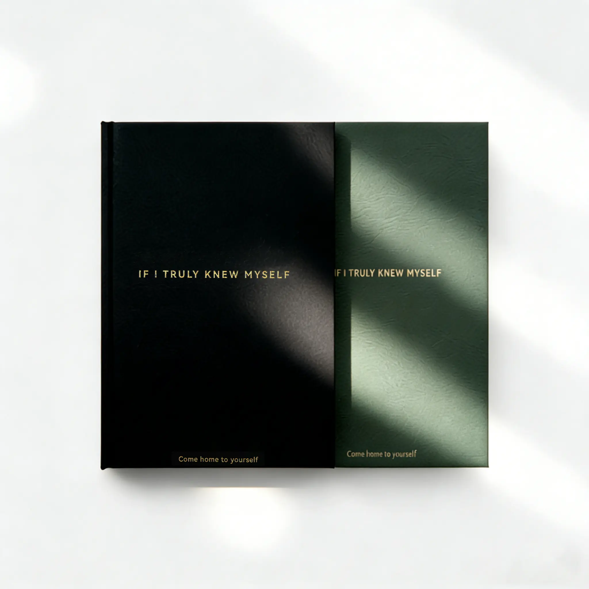 If I Truly Knew Myself Journal A Daily Undated Journal for