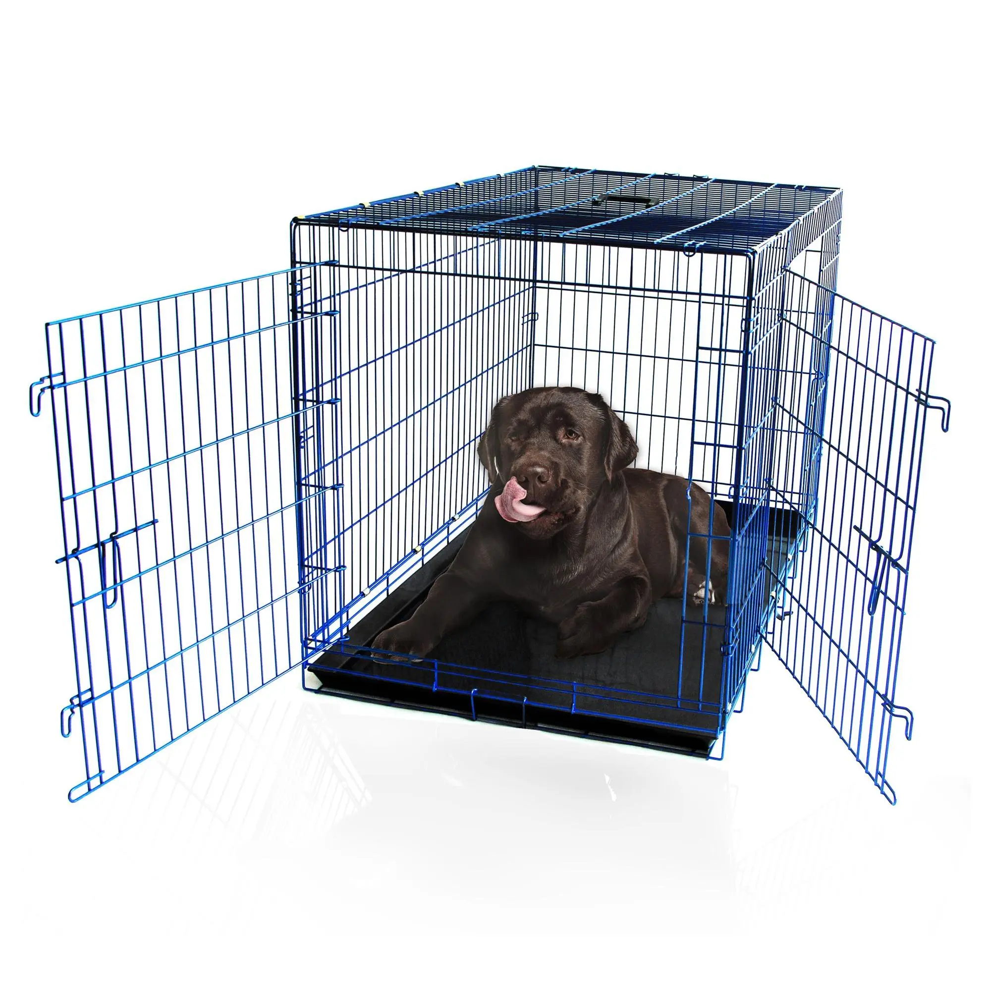 Backyard Expressions 48" Double Door Wire Dog Kennel