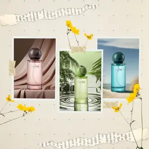 Caché Fragrance | Ambre Boisé + Santalé + Brise Marine | Ember Bark Harmony | Eau De Parfum (3 x 1.7oz / 50ml)