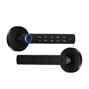 TikTok Hot-Selling Smart Fingerprint Handle Lock Graffiti Bluetooth Indoor Handle Wooden Door Electronic Pass Lock