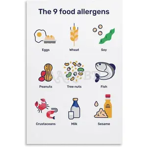 Food Allergen Poster 9 Food Safety Posters (1) Canvas Wall Art Poster for Bedroom Living Room Decor 12x18inch(30x45cm) Unframe-style