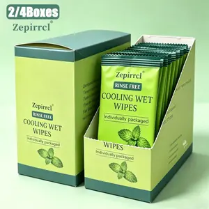 2/4 Boxes Summer Refreshing Cooling Wipes, Individually Wrapped Portable Mint Wipes, Gentle and Non-Irritating, Ideal for Office, Running, Cycling, Fitness and Travel, 60 Wipes per Box