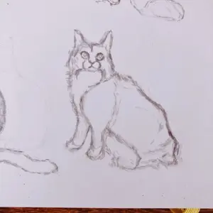 Sketch