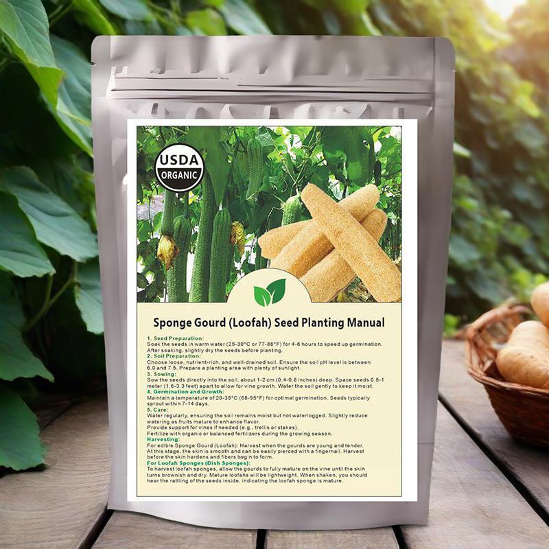 Smooth loofah seeds - 30 seeds - 2025 Plant smooth medium wide sponge open pollinated cucumber loofah Bitter Gourd Asia Grow your own family farm yard
