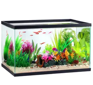 Aqua Culture  10 Gallon Transparent Glass Tank