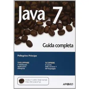 USED-PELLEGRINO PRINCIPE - JAVA 7 - by Pellegrino Principe (Unknown)