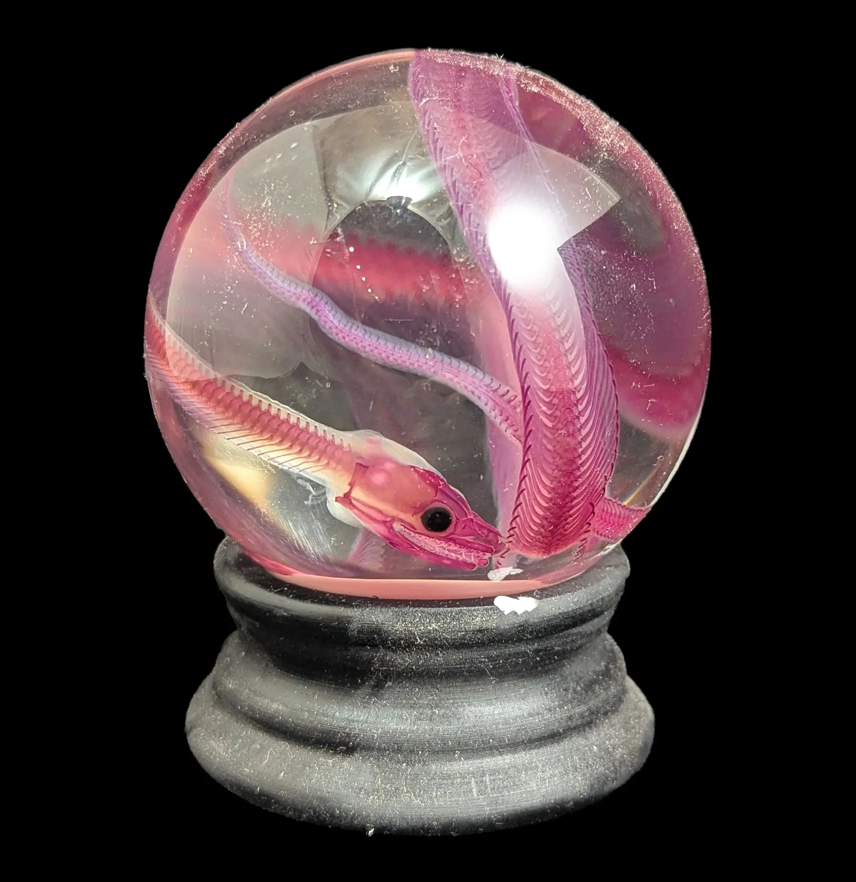 Diaphonized Boa Constrictor Globe