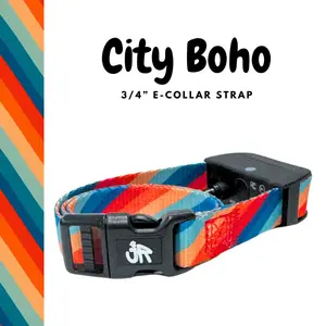 3/4" Replacement E-Collar Strap – Soft, Lightweight Polyester | Adjustable Fit 12"–26" Neck | City Boho