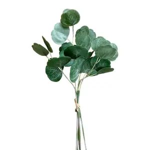 Silver Dollar Eucalyptus Pick Bundle