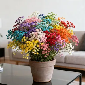 100 Baby’s Breath Seeds – Easy-Grow, Long-Lasting Blooms for Bouquets, Borders, and Cottage Gardens